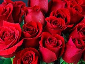 ガーデンテラス佐賀 ホテル＆マリトピア