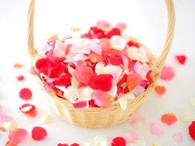 ガーデンテラス佐賀 ホテル＆マリトピア