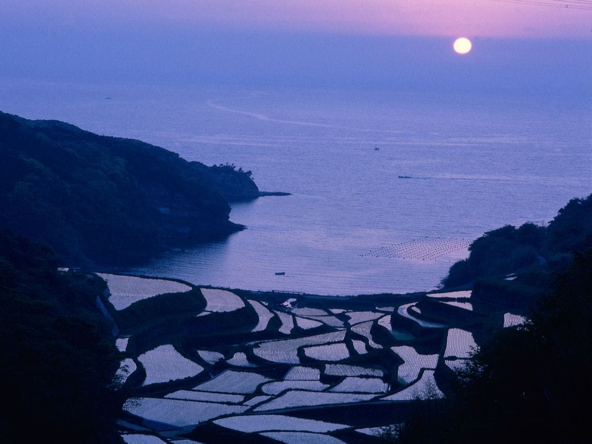 นาขั้นบันไดฮามาโนอุระ / ประมาณ 1 ชั่วโมง 30 นาทีโดยรถยนต์จากที่พักของเรา