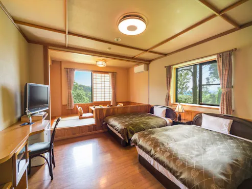 広めの客室/一例