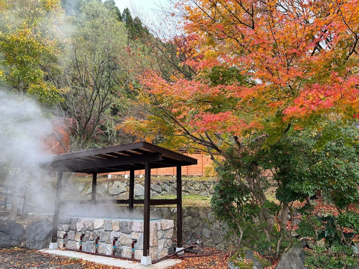 玄関前の蒸し処が新しくなりました