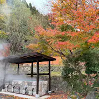 玄関前の蒸し処が新しくなりました