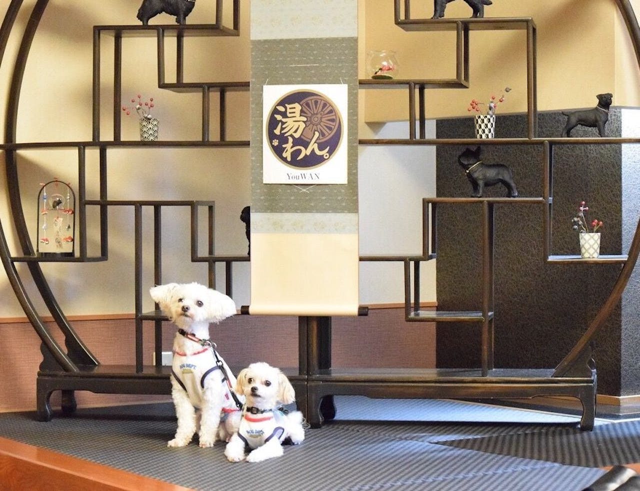 関東のペット可で犬と泊まれるホテル・コテージの宿15選 IiSENTAKU 関東のペット可で犬と泊まれるホテル・コテージの宿15選 IiSENTAKU