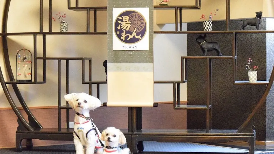 Pet-Friendly Inn Kinugawa Yuwan