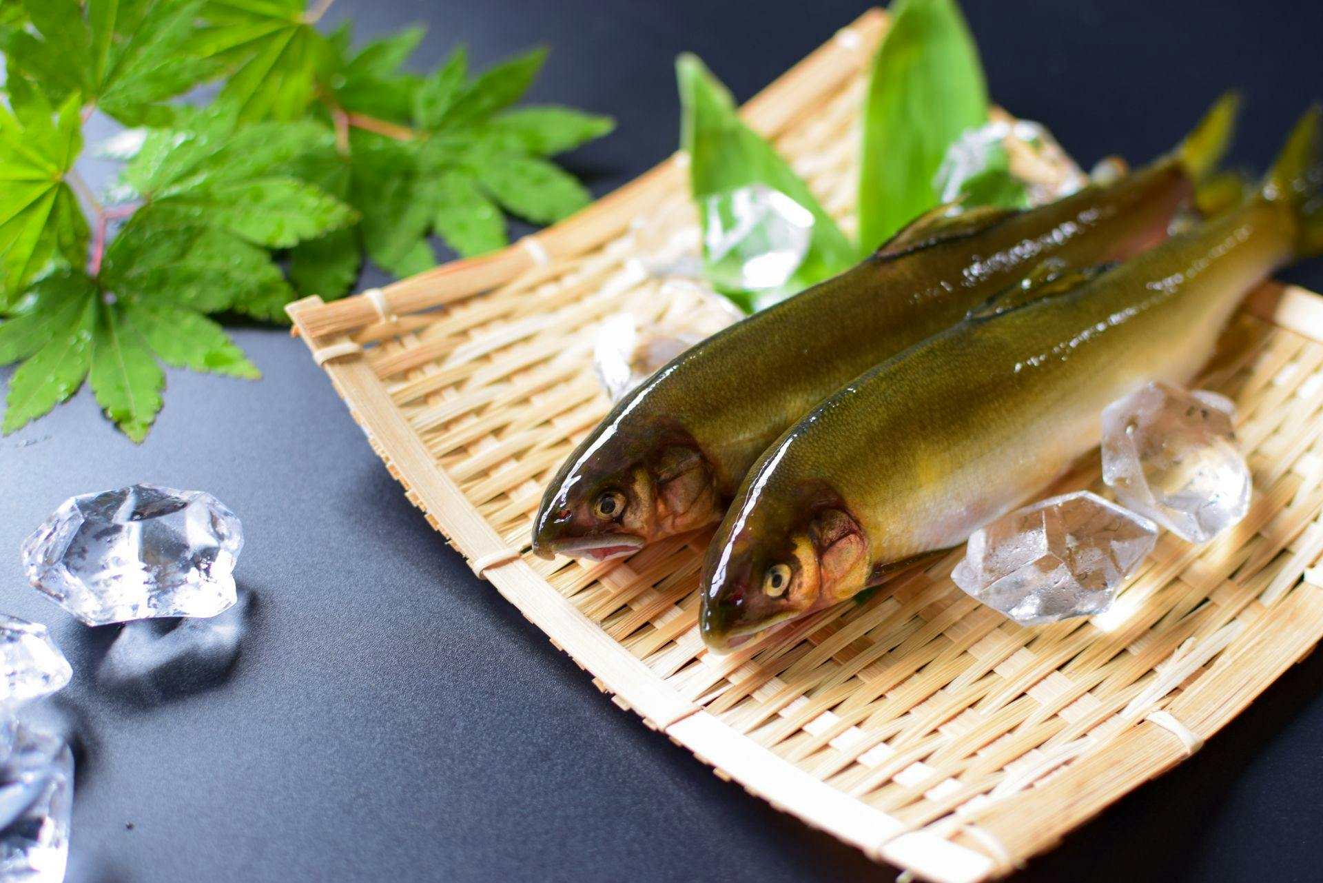 ペットと泊まる宿 鬼怒川 湯わん。
