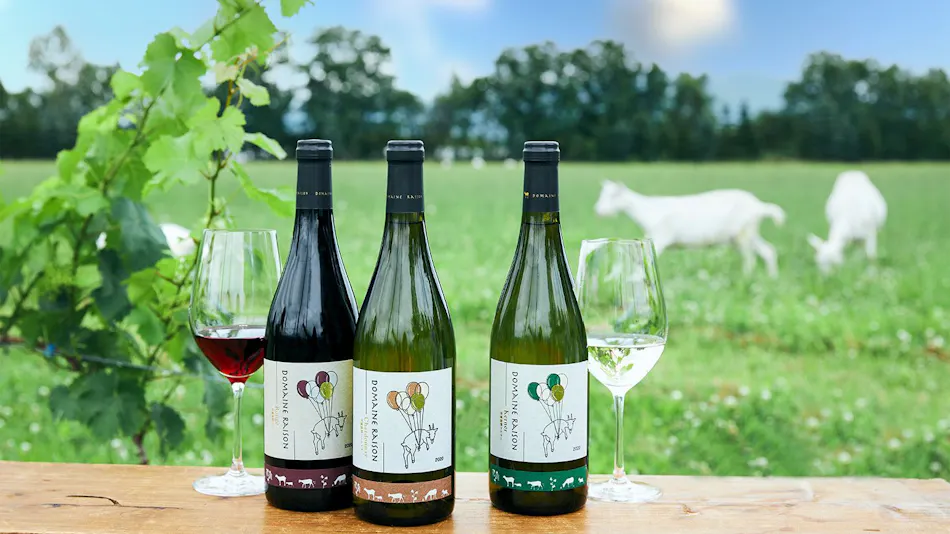Winery Hotel & Condominium HITOHANA