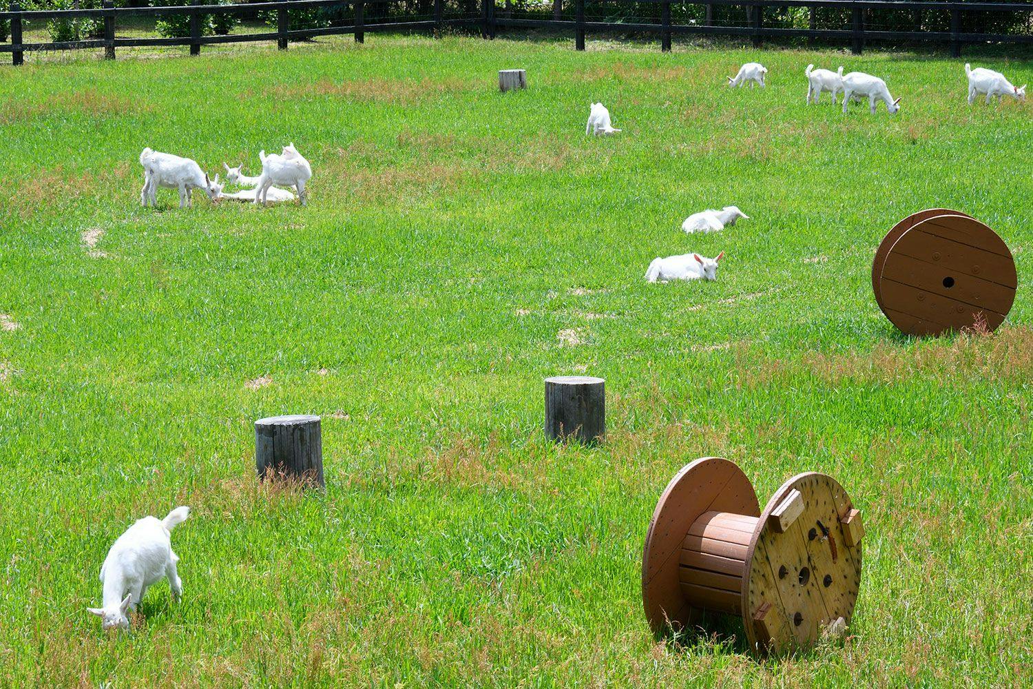 โรงบ่มไวน์