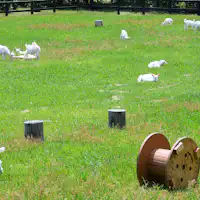 โรงบ่มไวน์