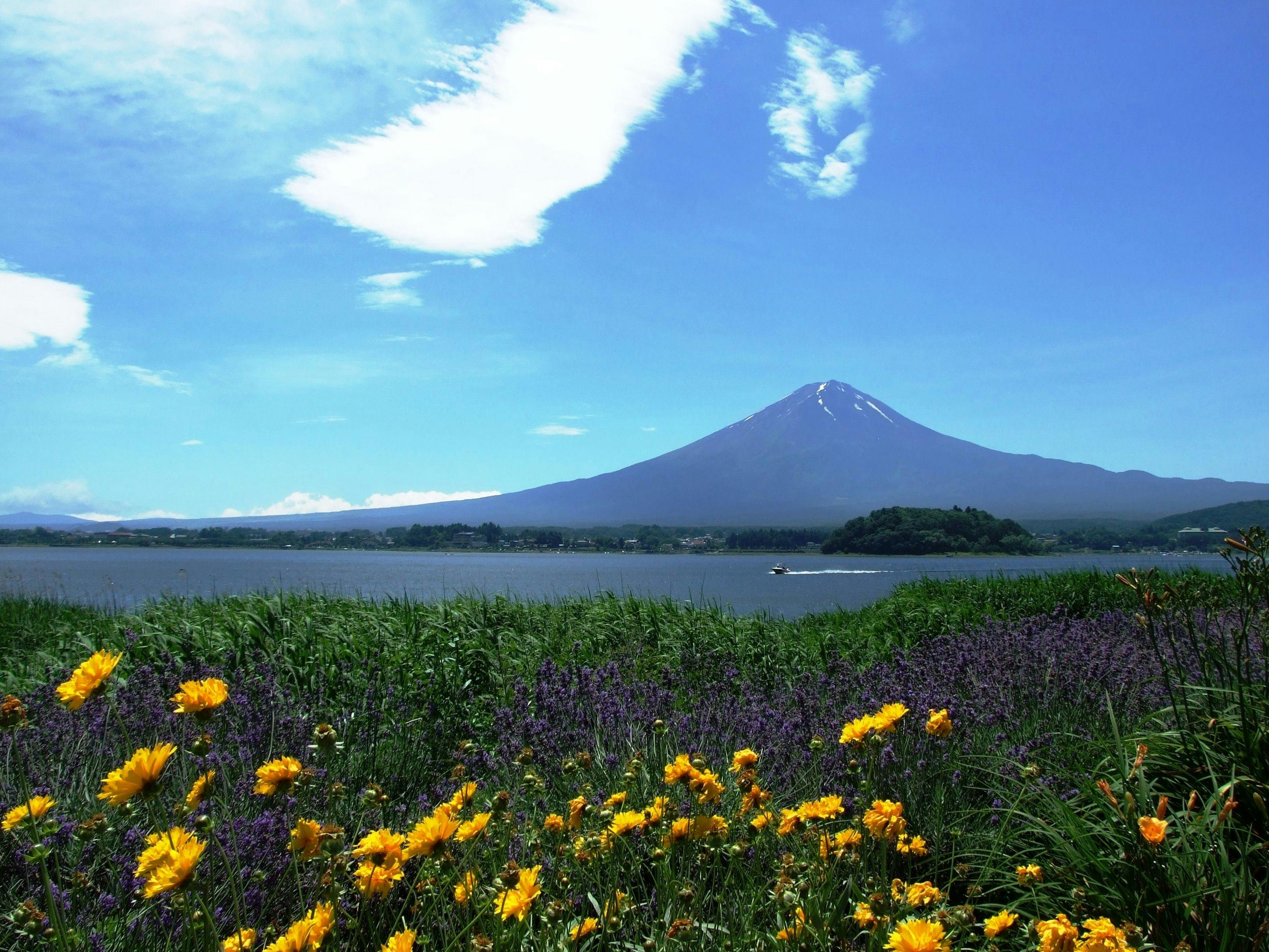 秀峰閣湖月