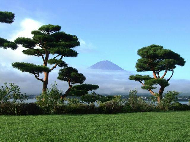 秀峰閣湖月