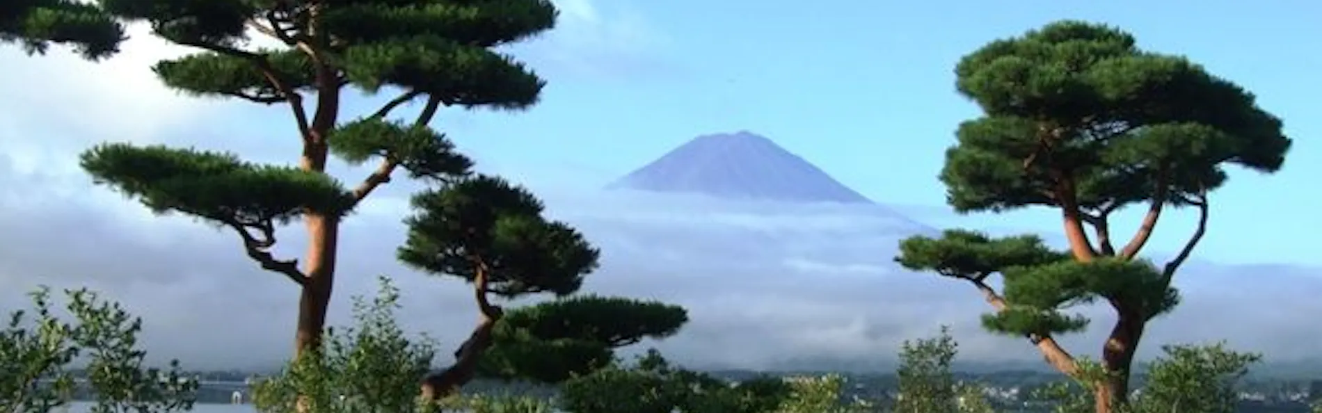 秀峰閣湖月