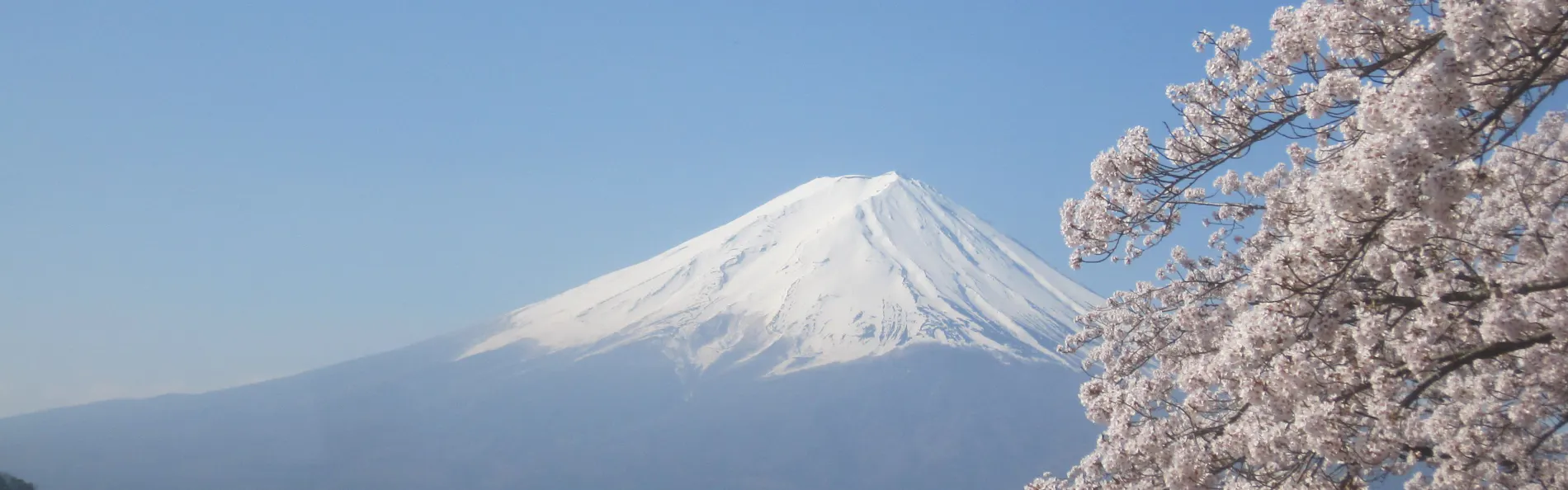 秀峰閣湖月