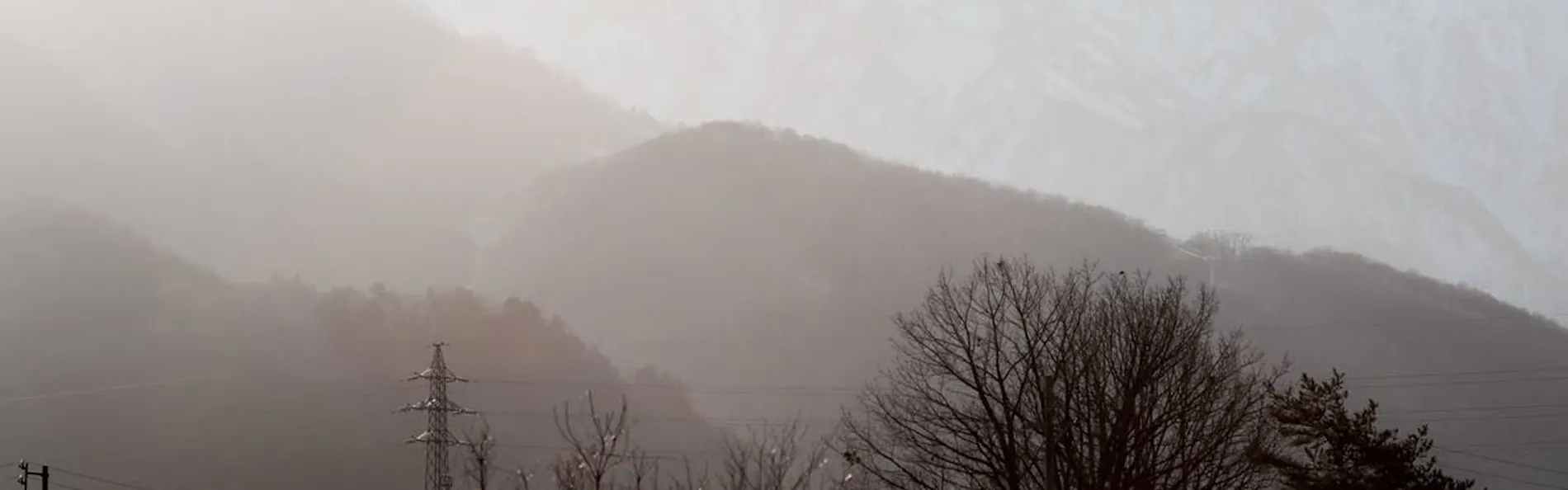 HOUSE OF FINN JUHL HAKUBA