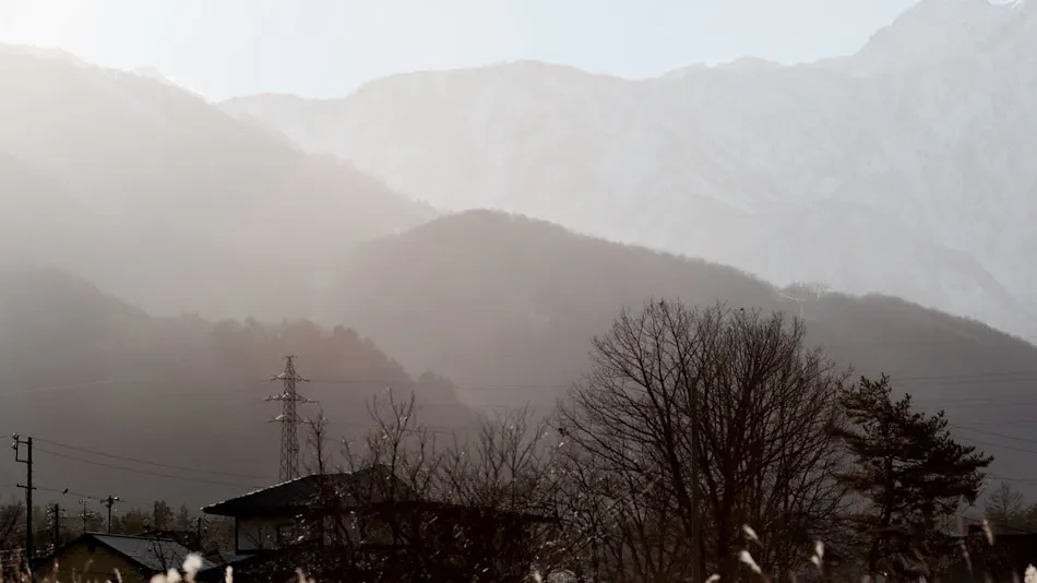 HOUSE OF FINN JUHL HAKUBA