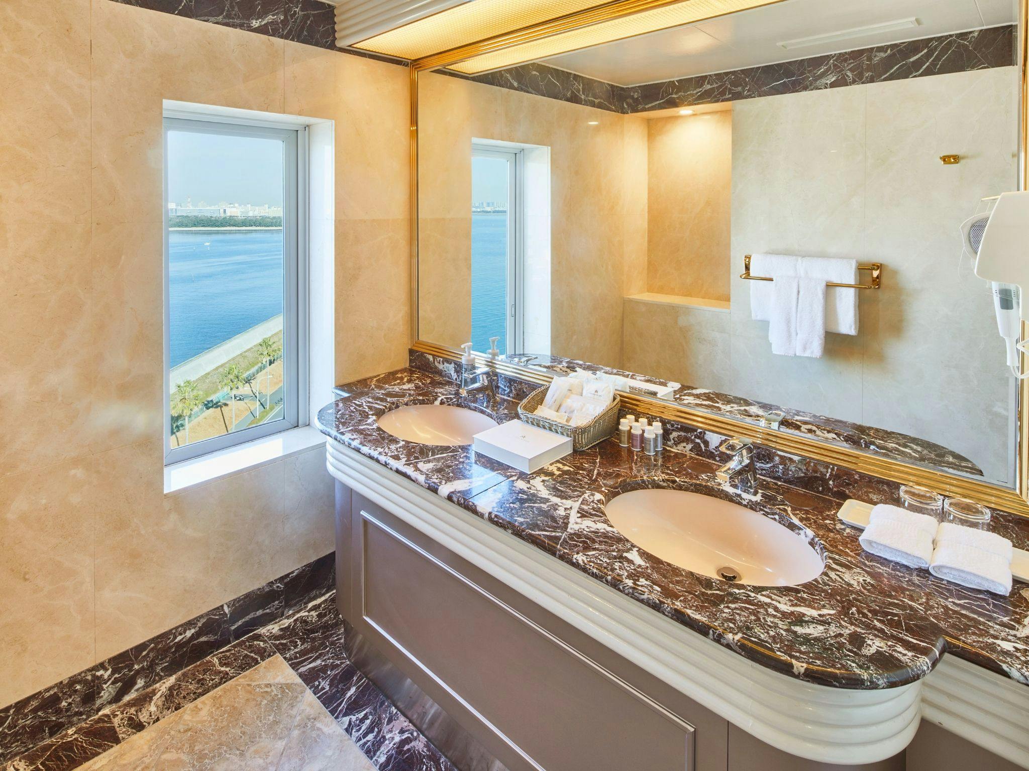 Deluxe Suite Room Wash Area