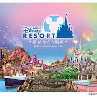 東京ディズニーリゾート R 一度は泊まりたい 東京ディズニーリゾート R 周辺 人気ホテル 旅館ランキング10選 2020年 一休 Com