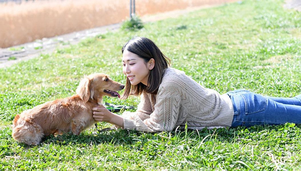 ホテル神戸六甲迎賓館