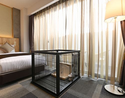 スタンダードツイン（ペット）のお部屋です