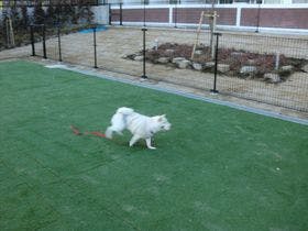 ホテル神戸六甲迎賓館