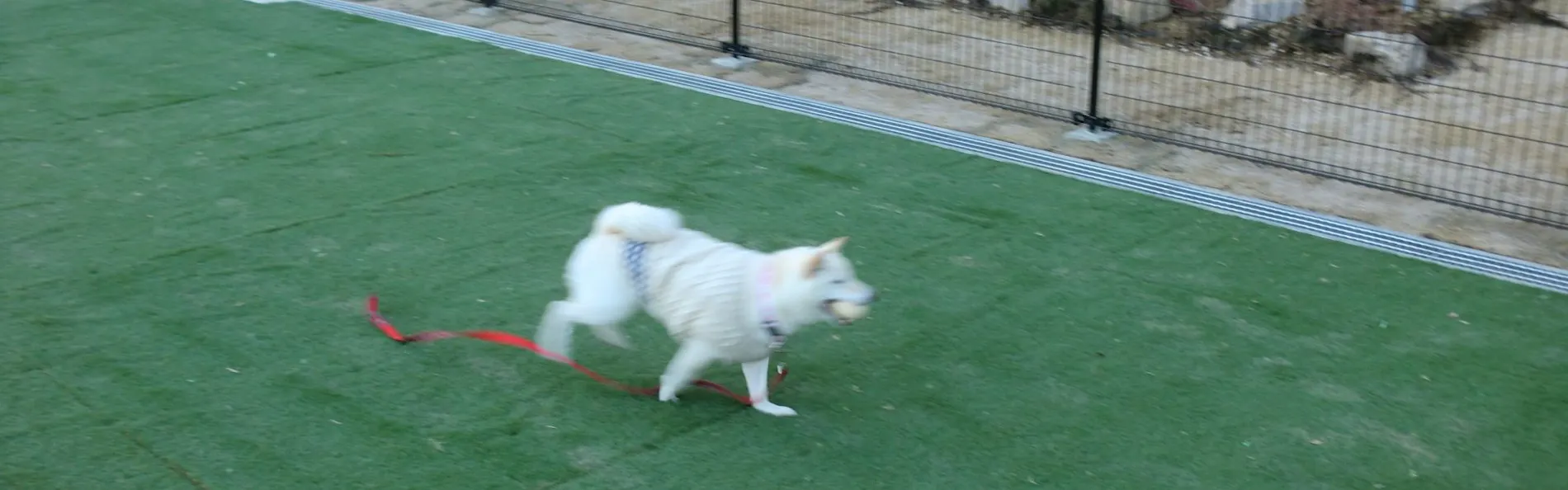 ホテル神戸六甲迎賓館