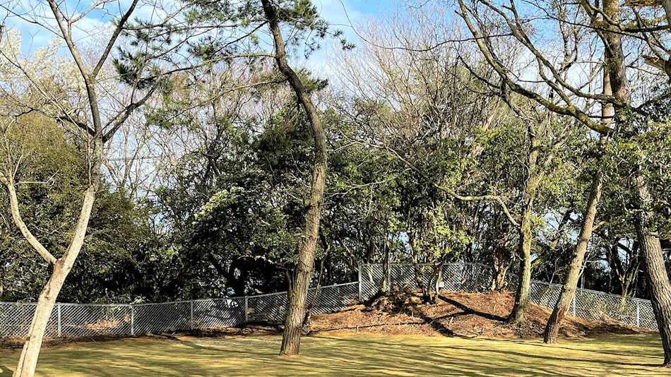 Hotel Kobe Rokko Guest House