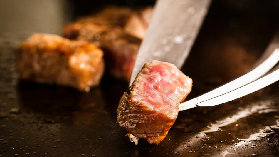 Garden Terrace Fukuoka Hotel & Resort