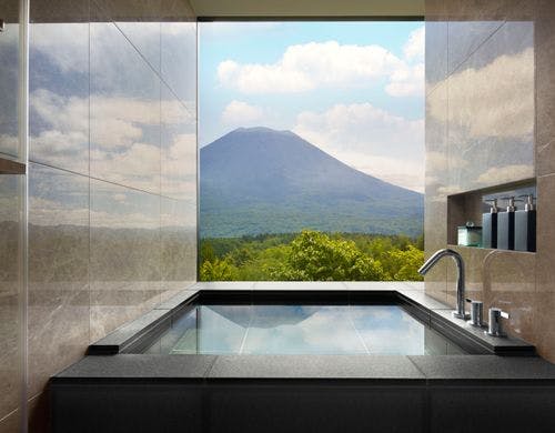 羊蹄リザーブキング（グリーンシーズン）