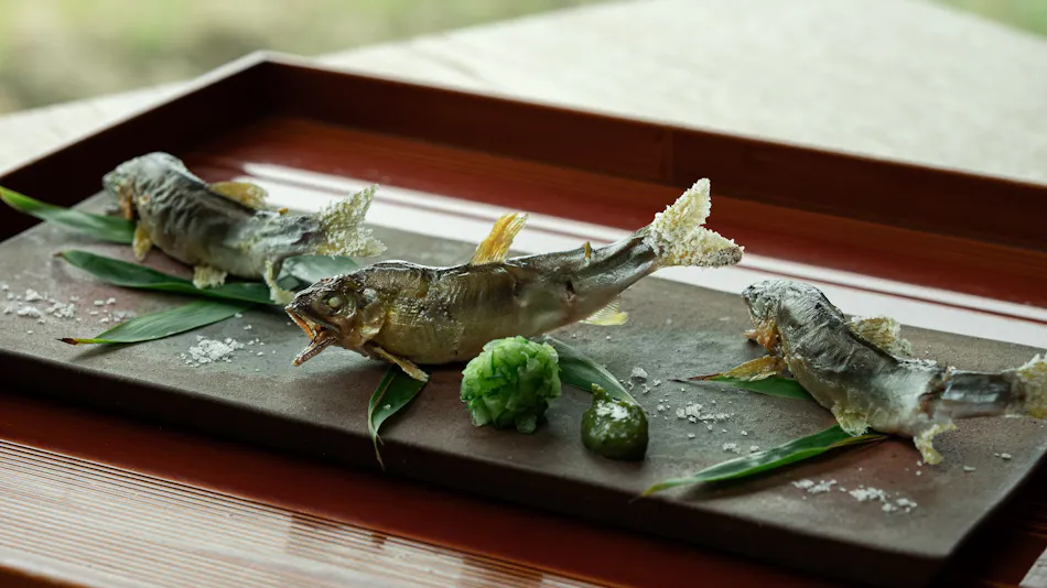 Rakudo An