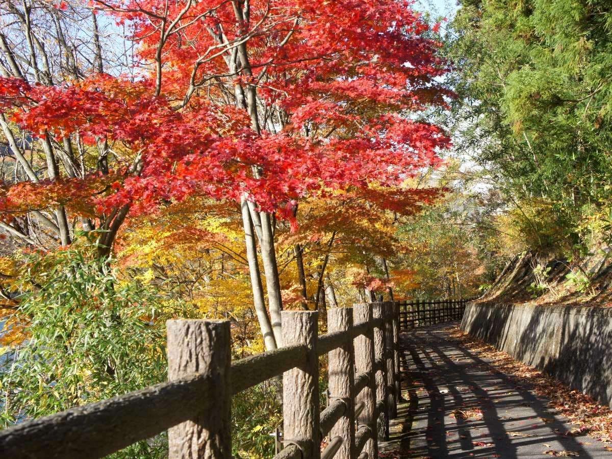 赤谷湖遊歩道（秋）