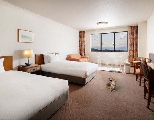 ドッグフレンドリーツイン