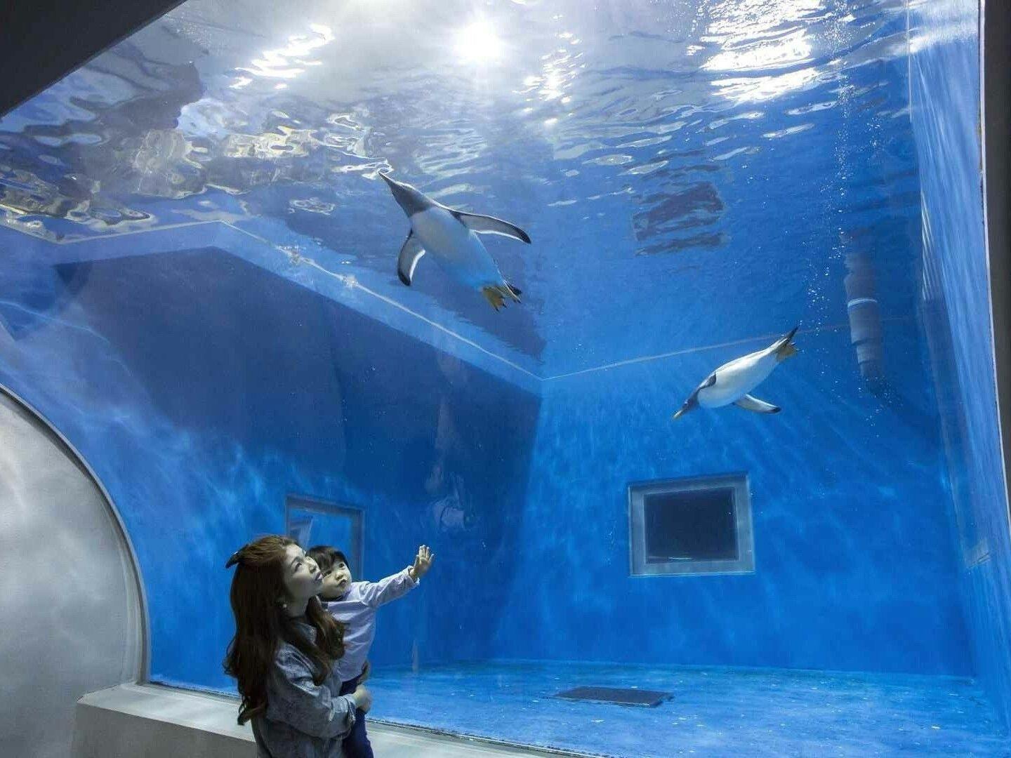 越前松島水族館