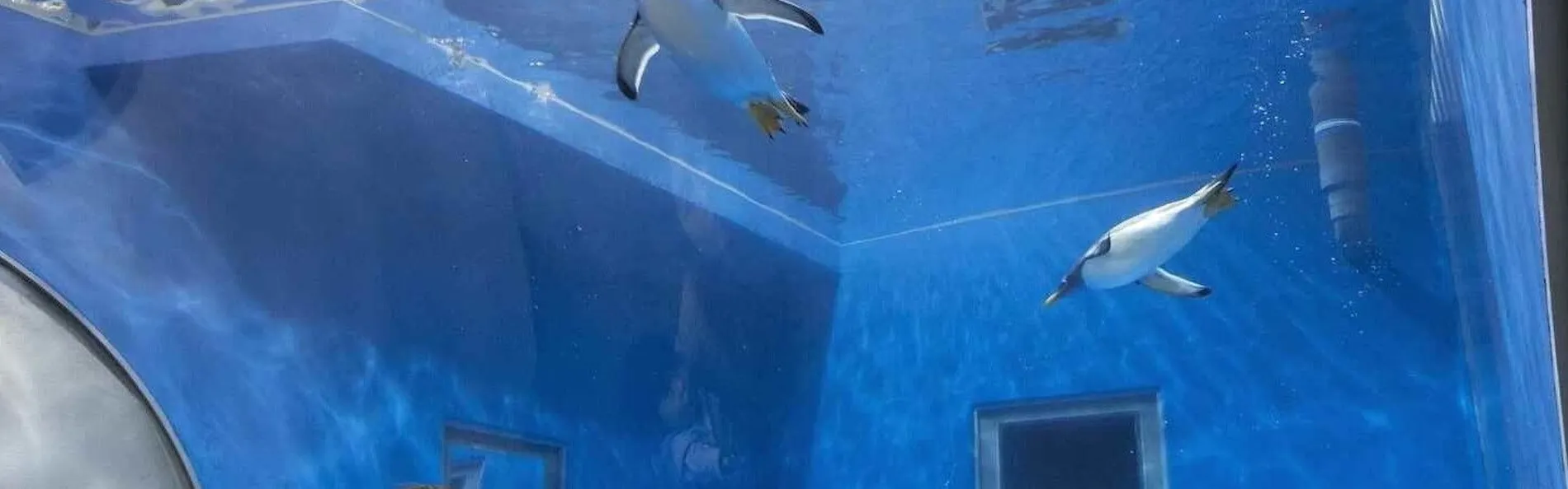 オーベルジュほまち 三國湊