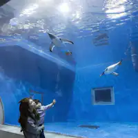 越前松島水族館