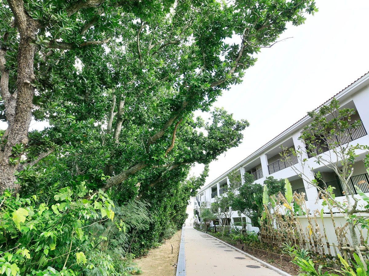 VIVOVIVA 石垣島