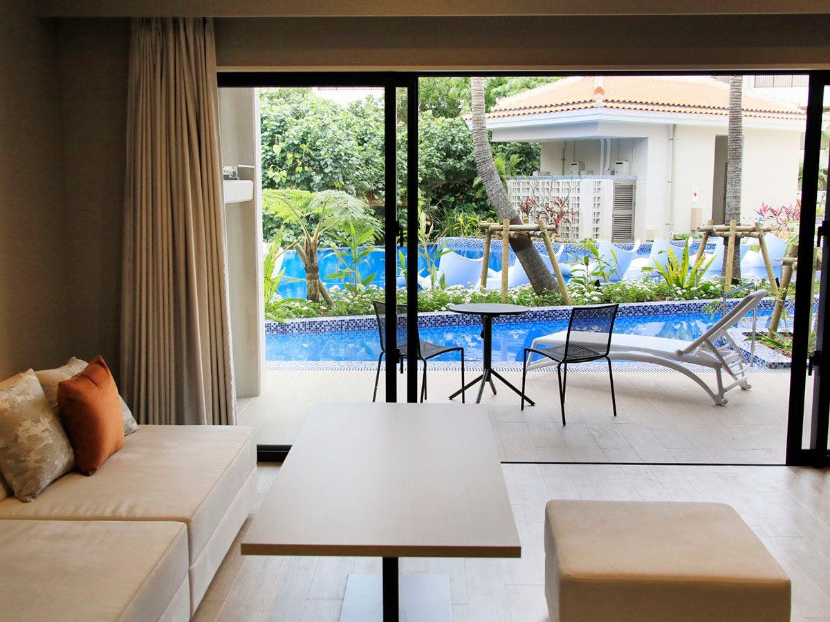 特大 56cm 石垣島産 旅人の木 梢 インテリア タビビトノキ 特大 56cm 石垣島産 旅人の木 梢 インテリア タビビトノキ