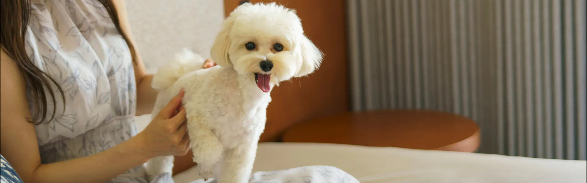 BATON SUITE 沖縄古宇利島(バトンスイート)