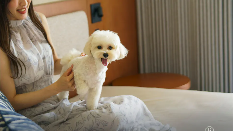 BATON SUITE Okinawa Kouri Island