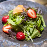 フルーツサラダの一例