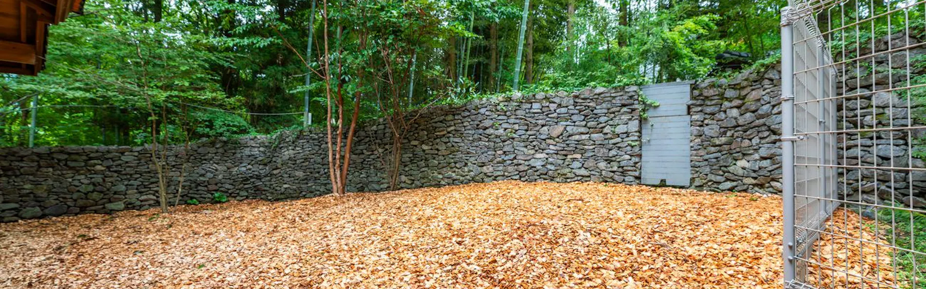 レジーナリゾート由布院