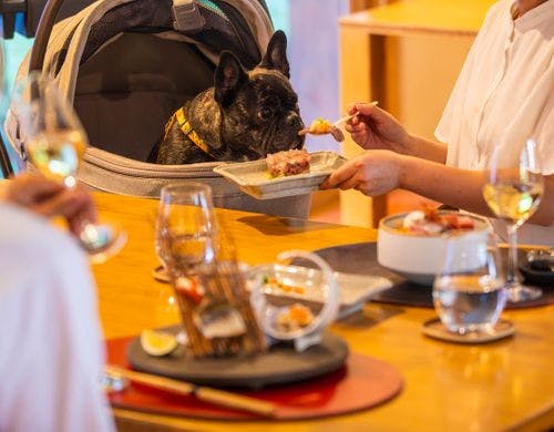 レストランイメージ