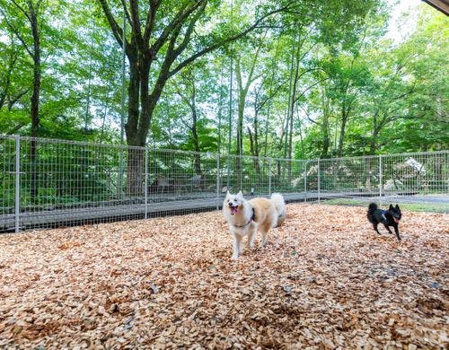共用ドッグラン