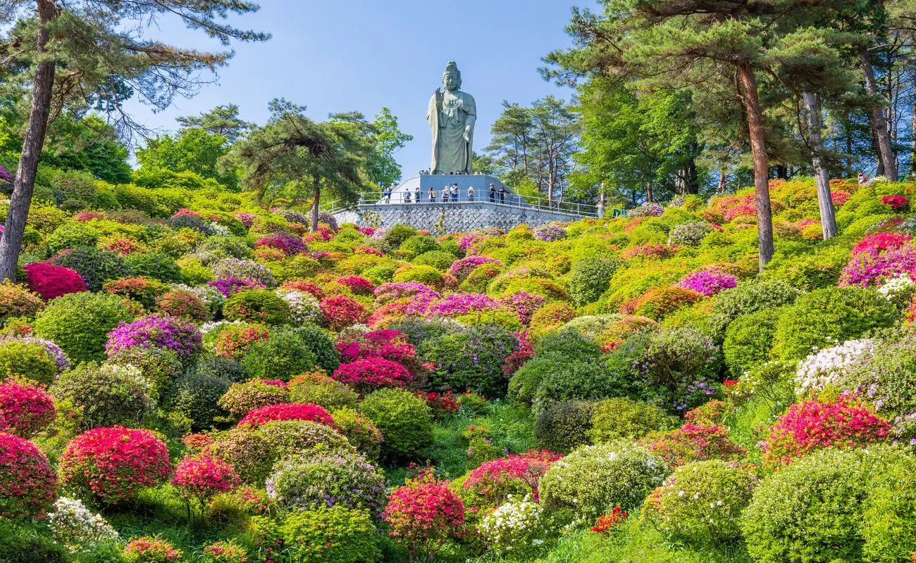 花の寺／塩船観音寺つつじ祭り
