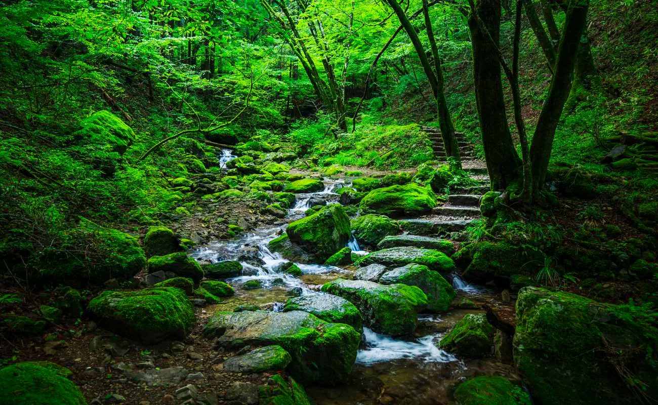 Gunung Mitake “Rock Garden (Taman Batu)”