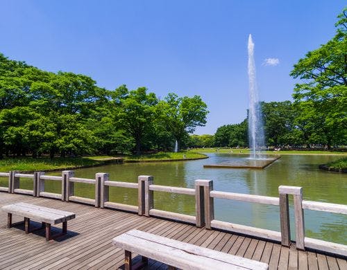代々木公園