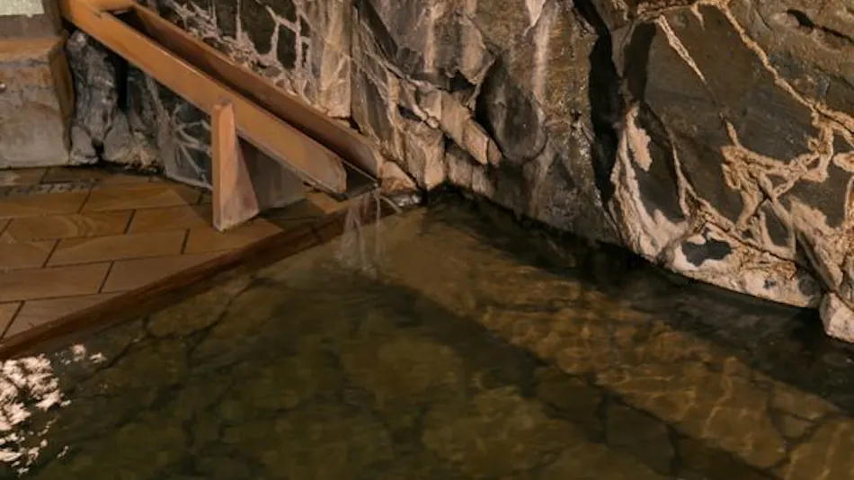 Shima Onsen Toyoshimaya
