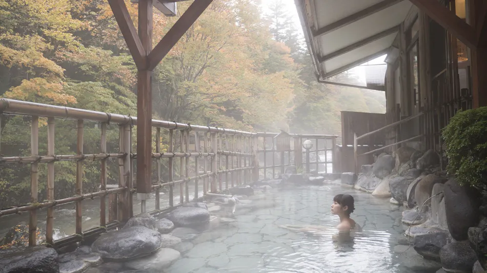 Shima Onsen Toyoshimaya