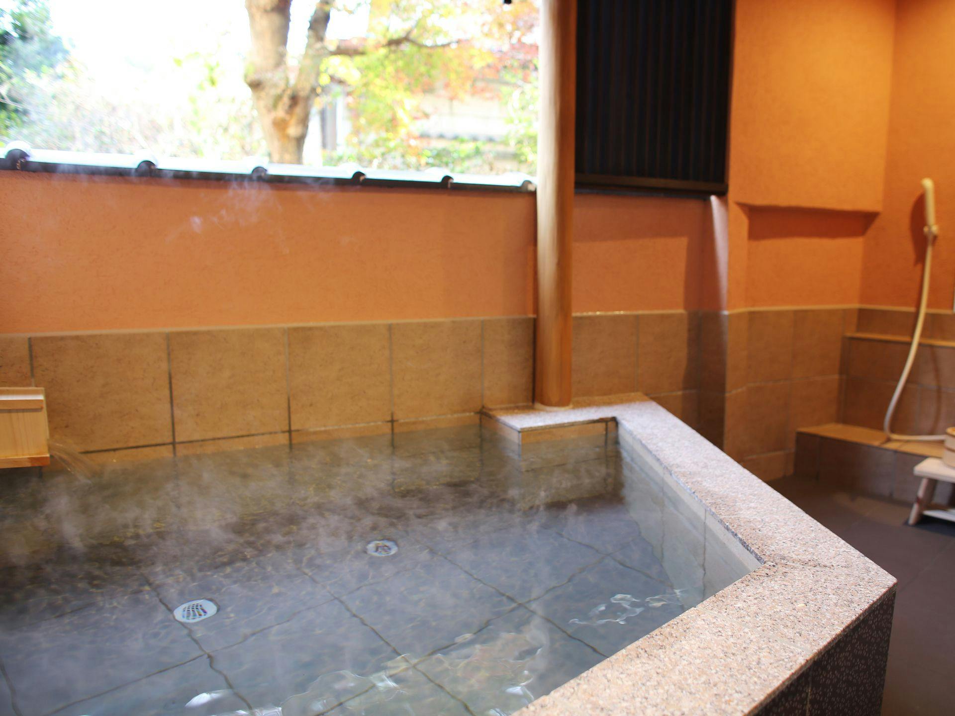 ままね湯 ますとみ旅館