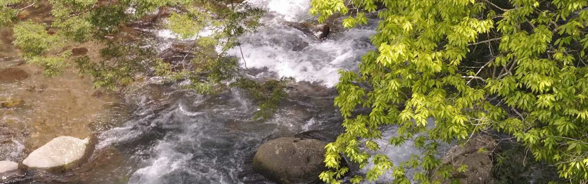水のみち 風のみち 湯ヶ島 たつた