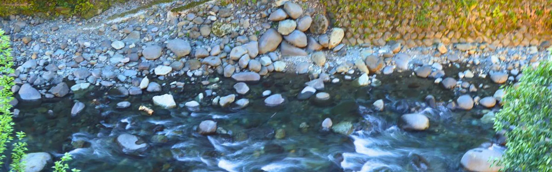 水のみち 風のみち 湯ヶ島 たつた