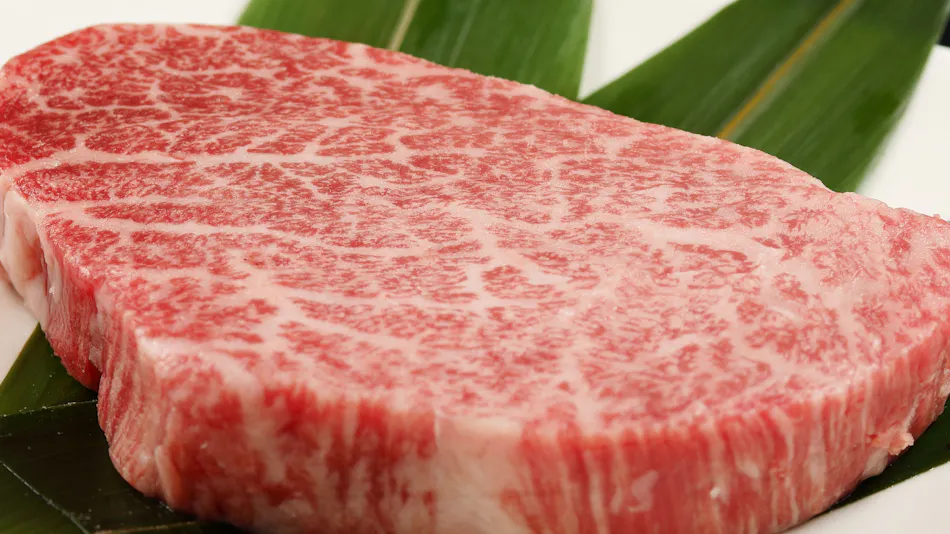 Mizu no Michi Kaze no Michi Yugashima Tatsuta